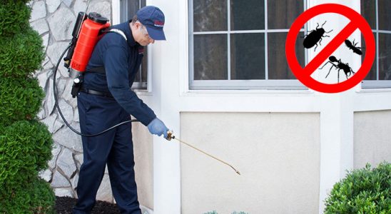 Arapgir Fare İlaçlama böcek ilaçlama ve haşere kontrolü — ilaclama-tr.com